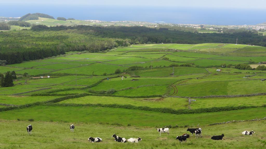Quinta Do Chico Feijao Villa Lajes Kamer foto